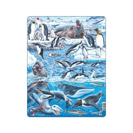 Larsen FH48 Frame Puzzle for Children, The Cold and Beautiful Antarctica, Puzzle from 6 Years, Beautiful Children's Puzzle with 66 Pieces, Game, Fun & Learning