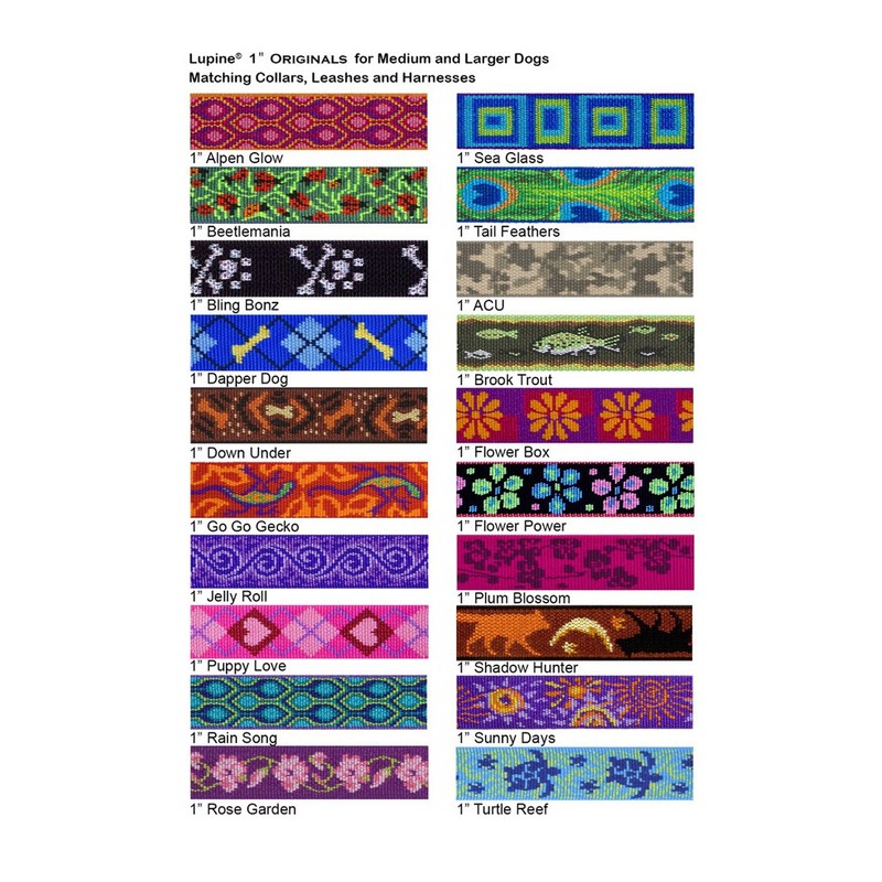 LupinePet Originals 1" Rose Garden 12-20" Adjustable Collar for Medium