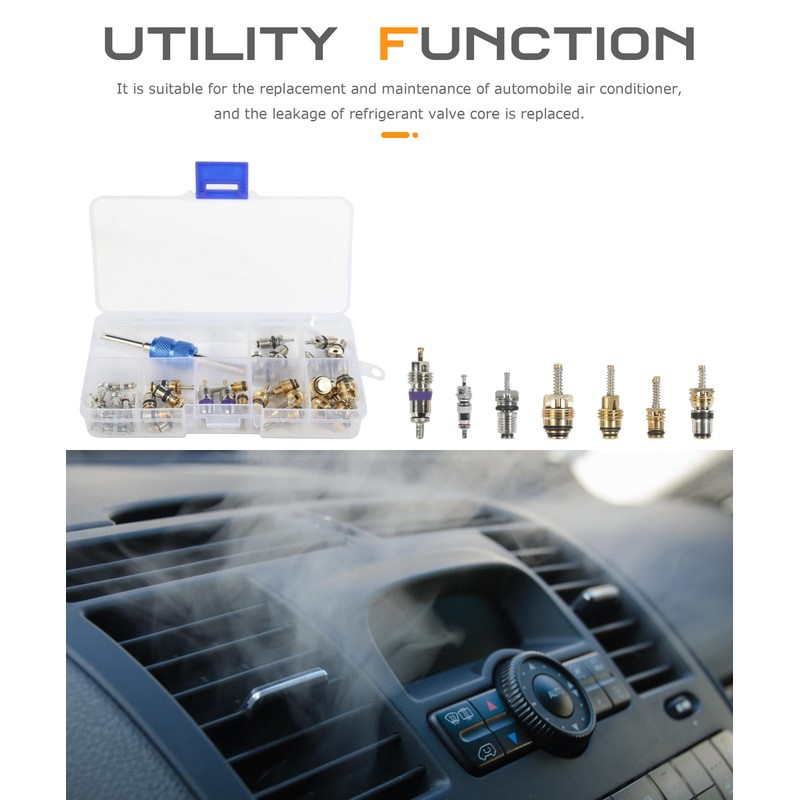 SCUARI 40PCS AC Schrader Valve Kit,AC Valve Core Kit,Car Accessories