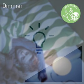 Theben 5410130 DIMAX 541 plus E I Universal Dimmer I Flush-Mounted Dimmer I Universal Dimmer with Automatic Load Detection I Dimmer Switch I Dimmer I Dimmer I Dimming and Switching LEDs I 230 V