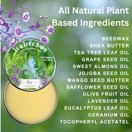 GARDMA TEA TREE BALM | All Natural Tea tree oil balm | Moisturizer, Soothing Relief for Many Skin Conditions | Skincare for Dry, Itchy Skin, Irritations, Eczema, and Acne, | 1 Pack