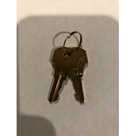 2 NEW SIMPLEX B/CAT 30 STYLE KEY FOR FIRE ALARM PANEL AND PULL STATIONS