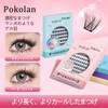 Pokolan False Eyelashes, Upper Eyelashes, Partial False, Natural Butt, Transparent