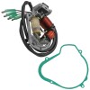 For Suzuki Stator And Gasket for Suzuki LT250R Quadracer 250