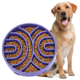 WHIPPY Slow Feeder Dog Bowls Anti-Choking Maze Dog Food Bowl Anti-Slip Interactive Dog Puzzle Feeder Dog Bowl Pet Bowl for Large Medium Dogs,Lavender