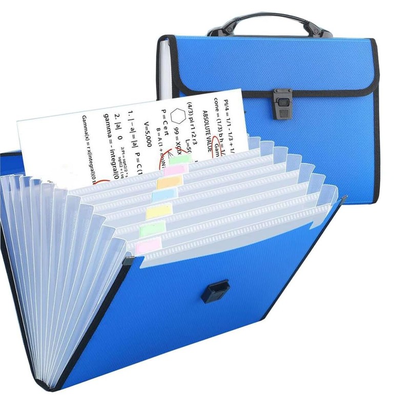 AIMALL 13-Pocket Portable Expanding Document Organiser Folder with Buckle, A4