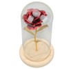 Rose in Glass Dome Lucky Beautiful Symbolism Romantic Enchanted Rose