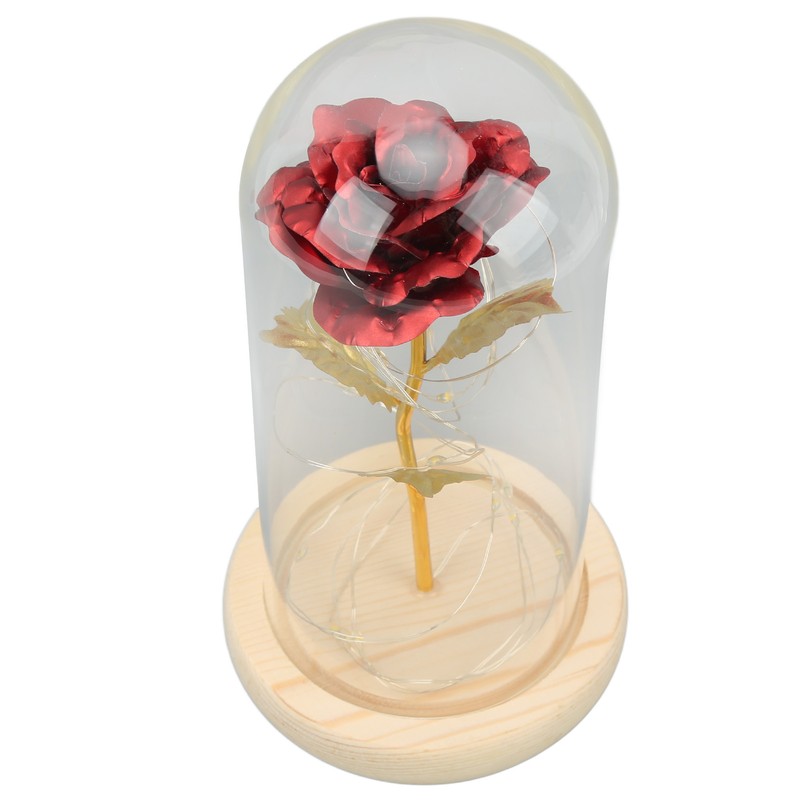 Rose in Glass Dome Lucky Beautiful Symbolism Romantic Enchanted Rose