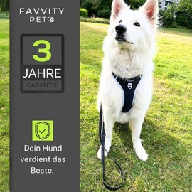 FAVVITY PET Dog Harness for Small, Medium and Large Dogs - Padded [Reflective] Anti Pull | Choose the Harness for Your Dog Now (Black, Small Dog (S))