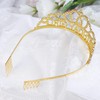 BIRTHDAY GIRL Crystal Rhinestones Tiara for Princess Queen Happy Birthday