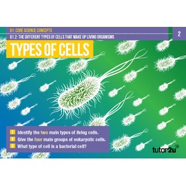 NCFE T Level Health Revision Question Cards for Core Component B1: Science Concepts: for 2025 and 2026 exams (tutor2u T Level Health NCFE)