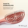 MIBELLA BEAUTY & CO Hair Brush without Pulling for Men