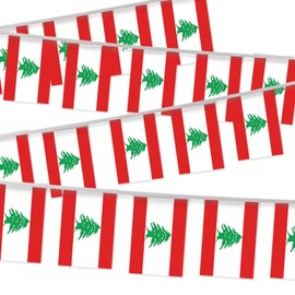 32FT Small Lebanon Pennant Flag Bunting,30 PCS Mini String Banner Strip Lebanese National Decor Rectangle for Holiday Restaurant Home Party School