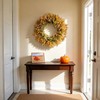 HipTree 18 Inch Fall Fern Eucalyptus Wreath Autumn Front Door