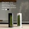 Mosslab Moss Air – Living Moss Terrarium Humidifier | Soothing