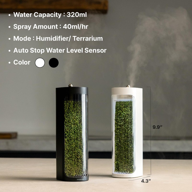 Mosslab Moss Air – Living Moss Terrarium Humidifier | Soothing