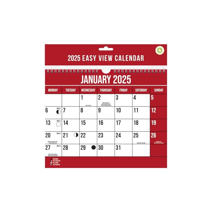 2025 Wall Calendar Easy View Planner 1 Month Per Page