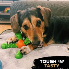 TastyBone QuattroBone Nylon Dog Chew Toy for Small Dogs (Chicken Tikka) - Indestructible for Aggressive Chewers, Everlasting Flavour, Strong Healthy Teeth, Made in the UK