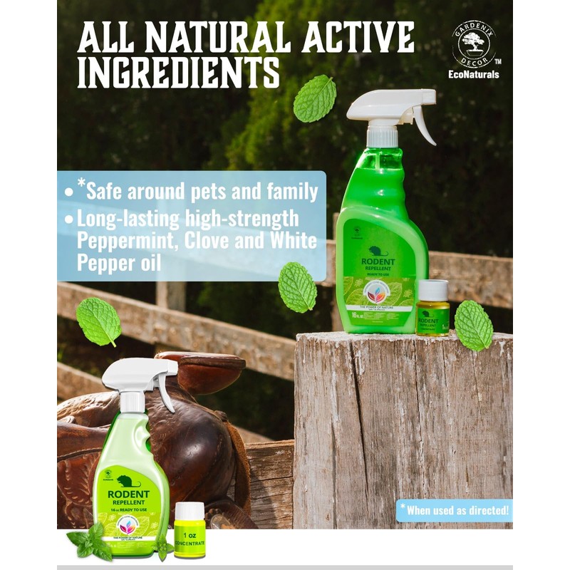 All Natural Peppermint Oil Spray, Non-Toxic Rat Repellent to Repel