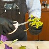 CHIKAMASA CRI-550SRF(Cherry Blossom), The Specialty Trimming Precise Scissors, Stainless Steel