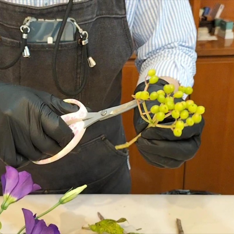 CHIKAMASA CRI-550SRF(Cherry Blossom), The Specialty Trimming Precise Scissors, Stainless Steel