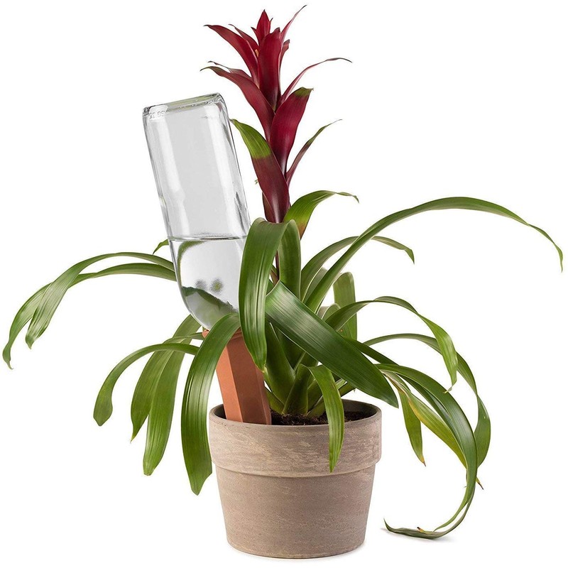 Plant Self-Watering Stakes for Indoor Outdoor Plants (4 Count) Terracotta