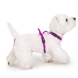 LufeLux Non-Restrictive PRO Easy Walk Freedom No Pull Dog Harness, Keep Balance, Neck-Buckle, Six Points Adjustment, 2 Leash Clips for Back and Front Clip (Purple, XS)