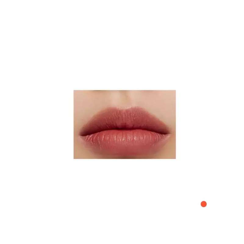 HERA 헤라 파우더 매트 벨벳 립 틴트 499호 로지스웨이드 BNS