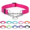 Pimaodog Martingale Dog Collar with Stainless Steel Chain, Martingale Collar