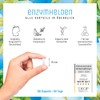 NATURTREU Digestive Enzymes (Digestive Enzymes) - Enzyme Heroes: Enzyme Complex