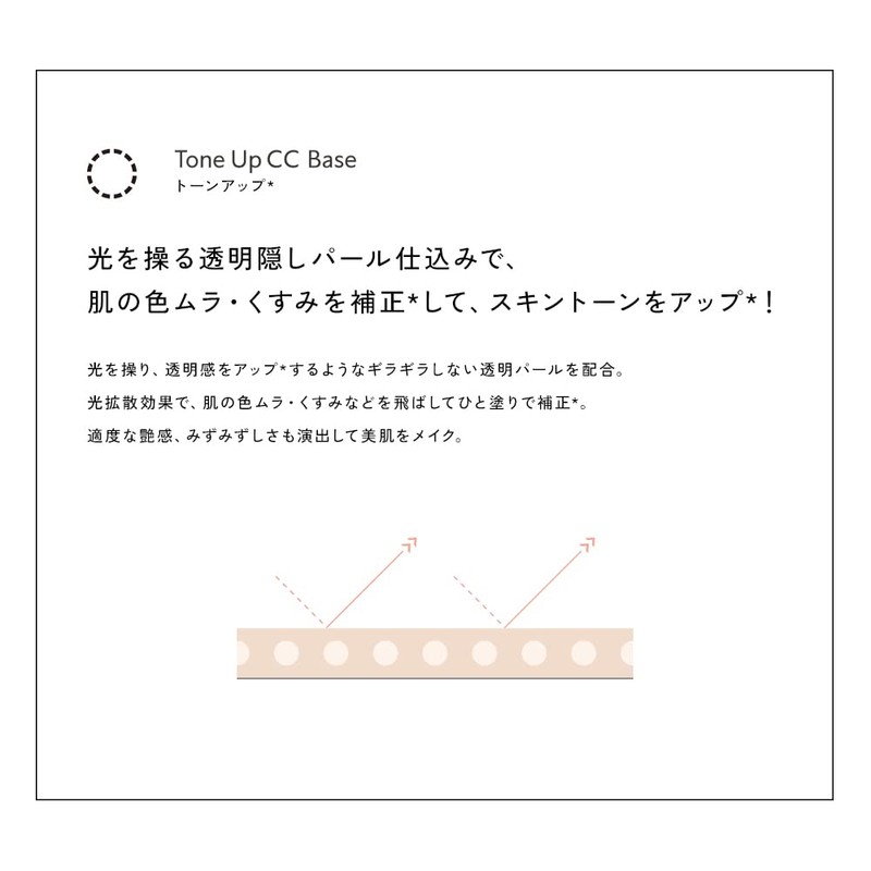 VIVISION SINMoose CC Base M 01