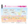 TAKAKO OHASHI Bright-Up CC Controller, Cream UV 1.1 oz (30