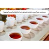 Cozy Up Cozy Up 10 Flavors Variety Tea Sampler Compatible