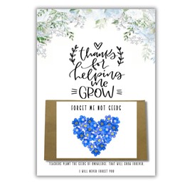 Just A Little Something Teacher Gift | Forget Me Not Seeds | Thank You Gift | Teacher | Teaching Assistant | Nursery Teacher | Childminder |