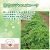 HaBidens Miyako Bidence Pillow Sa Leaf Pollen, House Dust Reduction