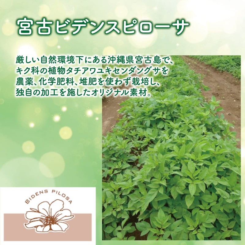 HaBidens Miyako Bidence Pillow Sa Leaf Pollen, House Dust Reduction