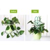 Jashem Garden Trellis for Climbing Plants 6 PCS Plastic Indoor