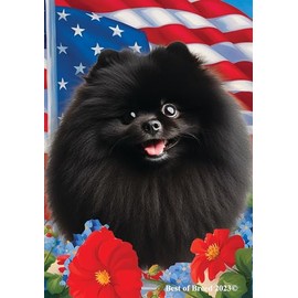 Pomeranian Black - Best of Breed All-American Patriotic I Garden Flags