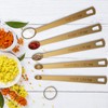 Wildone Copper Plated Measuring Cups & Spoons Set of 21