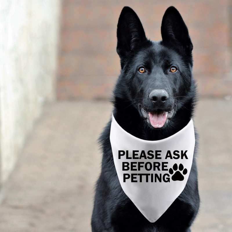 Nervous Shy Dog Bandana Dog Scarf Please Ask Before Petting