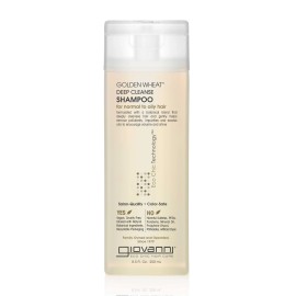 Giovanni Eco Chic Golden Wheat Deep Cleanse Shampoo Normal Oily Hair 8.5 fl oz