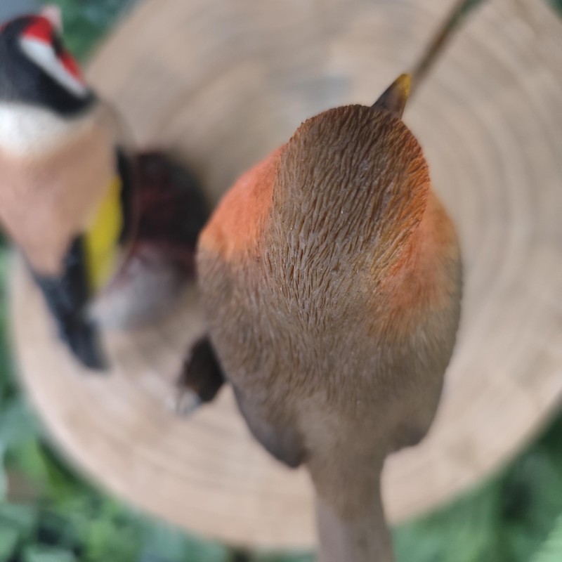 Vivid Arts - British Birds Life Like Robin & Goldfinch