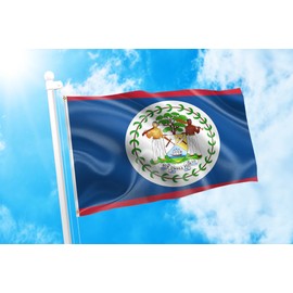 DMSE Belize Belizean Coat of Arms on a Blue Field Flag 2X3 Ft Foot 100% Polyester 100D Flag UV Resistant (2'X3' Ft Foot)