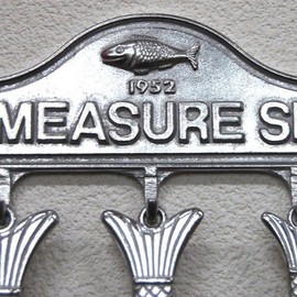 Dulton 100-029 Fish Measuring Spoon Set, Aluminum, Set of 5