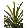 4'6" Real Touch Dracaena Silk Tree w/Pot -Green/Red