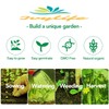 3500+ Long Green Scallion Seeds for Planting, Bunching Long Green