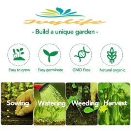 3500+ Long Green Scallion Seeds for Planting, Bunching Long Green Onion Seeds, Non-GMO Organic Heirloom Scallion Seeds