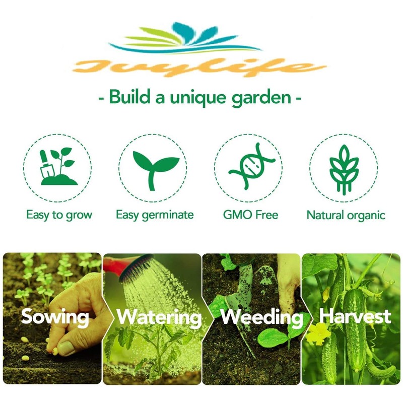 3500+ Long Green Scallion Seeds for Planting, Bunching Long Green