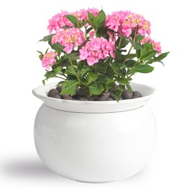 BUYMAX BUYMAX African Violet Pots, 6 inch Ceramic Easy Self Watering Plant Pot for Busy Plant Lovers, Automatically Absorb Appropriate Amount of Water, Flower Pot Indoor-Plants Not Included