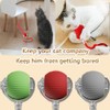 blueypet Upgraded 2025 Smart Interactive Electric Cat Toy Ball Indoor